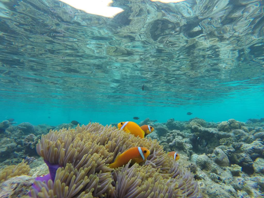 Arora Inn Maafushi Zewnętrze zdjęcie