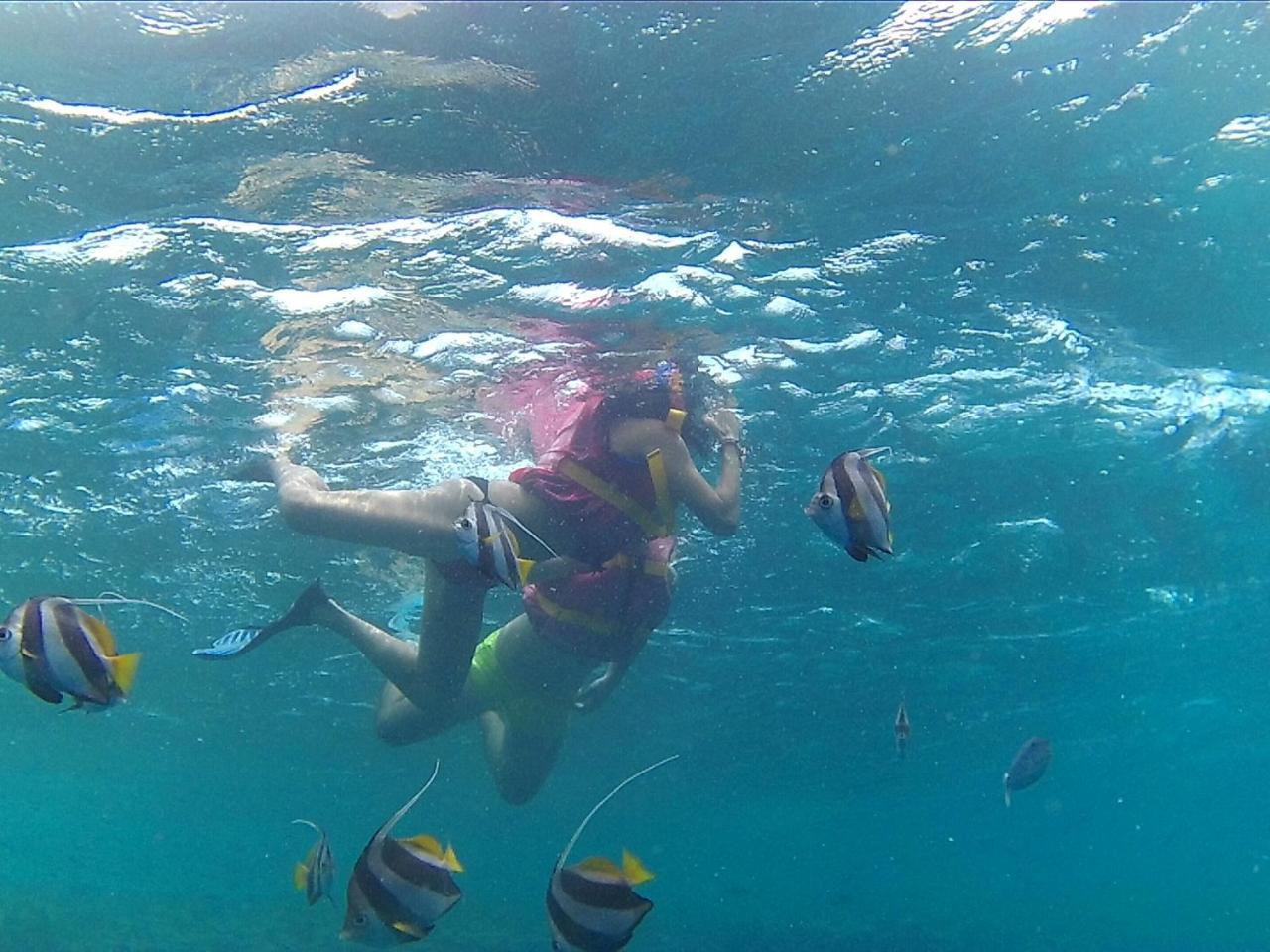 Arora Inn Maafushi Zewnętrze zdjęcie